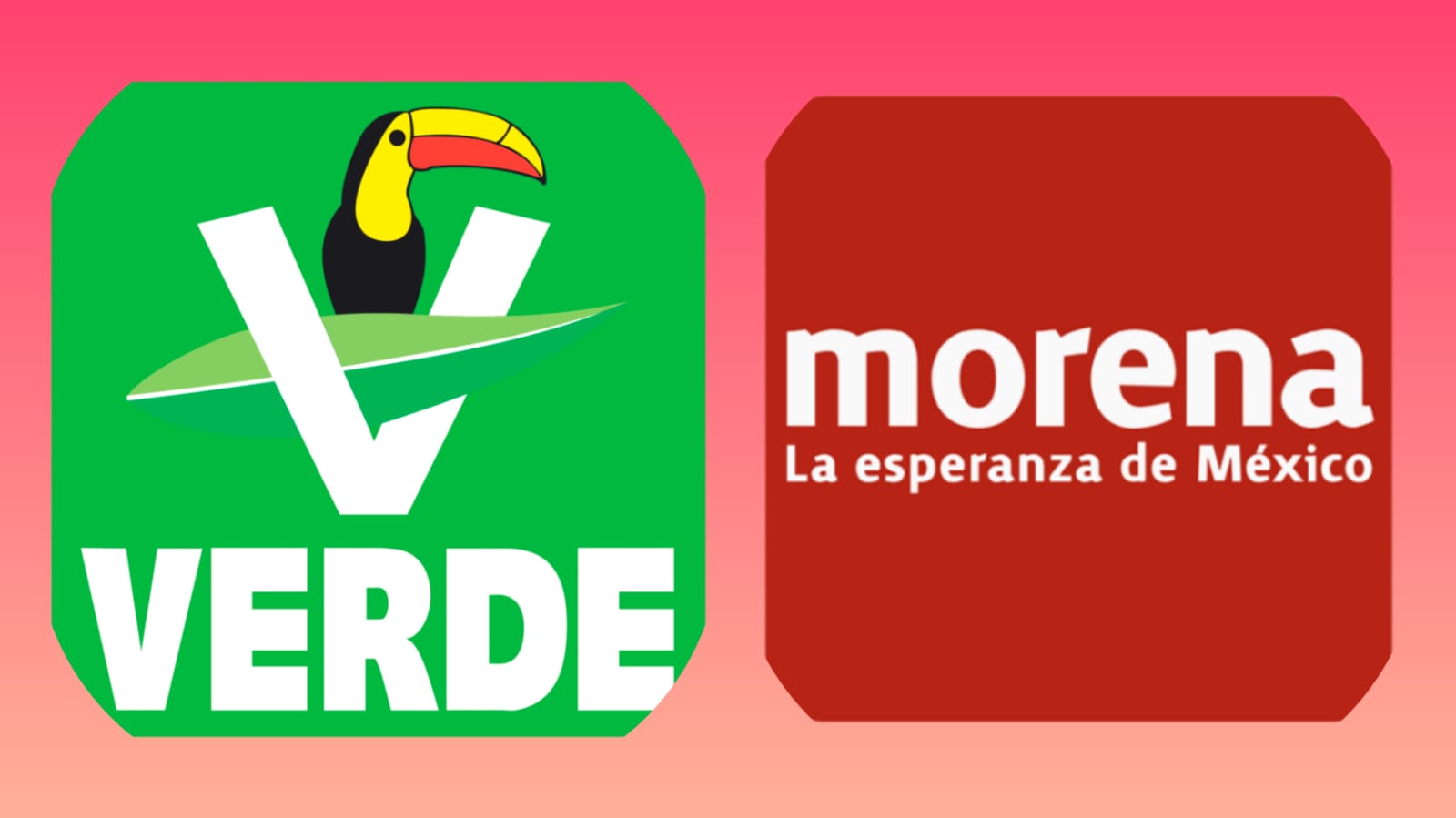 Partido Verde anuncia que no irá en alianza con Morena para gubernatura de  Hidalgo • Los Reporteros Mx