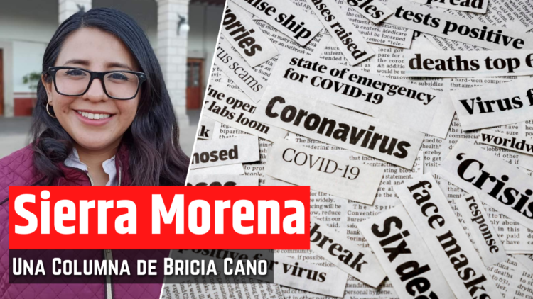Opinión de Bricia Cano