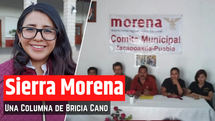 Opinión de Bricia Cano