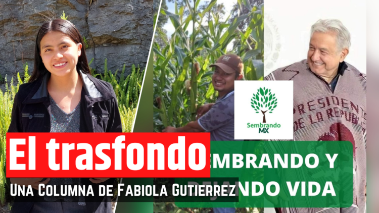 Opinión de Fabiola Gutiérrez