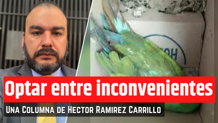 Opinión de Héctor Ramírez Carrillo
