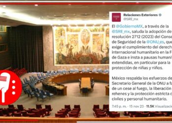 México respalda la resolución de pausas y corredores humanitarios propuesta por la ONU en la Franja de Gaza (FOTOS)