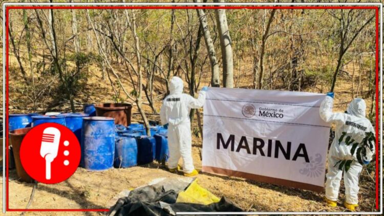 Cae laboratorio clandestino en Sinaloa; golpe de 81 mdp