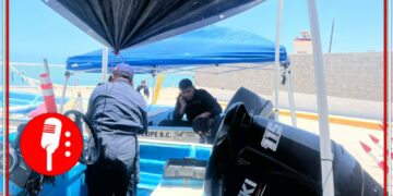 México lanza operativo satelital para combatir pesca ilegal de Totoaba